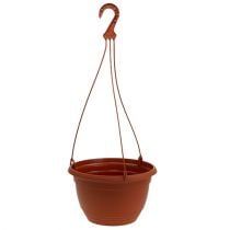 category Hanging plant pots