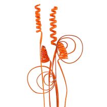 category Exotic plants 