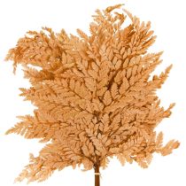 category Branch, sticks, bouquets and rods