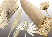 Natural products bleached