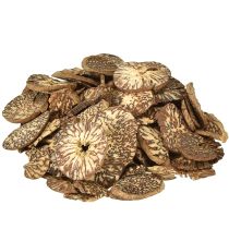 category Wooden discs