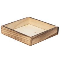 category Tray & Planter