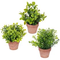 category Artificial plants