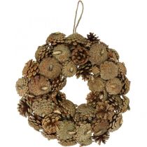 category Pine cones 