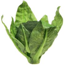 category Deco vegetable