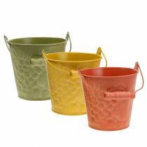 category Buckets and bowls