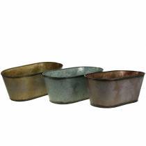 category Buckets and bowls