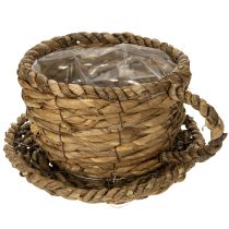 category Baskets & Planters