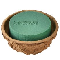 category Floral foam – Round shapes