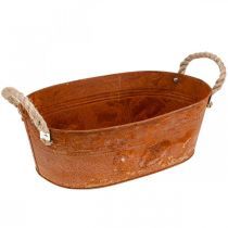 Garden decoration rust