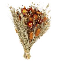 category Dried flowers
