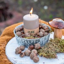 Autumn decor
