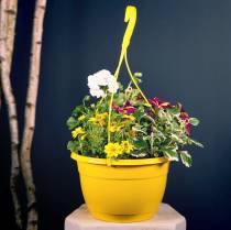 Product Hanging basket Ø30cm white