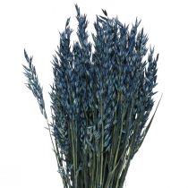 Dried Flowers, Oats Dried Cereals Deco Blue 68cm 230g