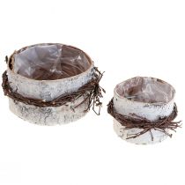 Product Planter wood birch wood birch pot white Ø11/16cm set of 2