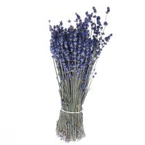 Dried Lavender Bunch of Dried Flower Blue 25cm 75g