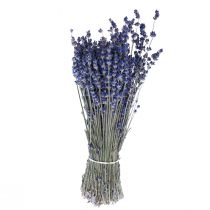 Dried Lavender Bunch Dried Flower Blue 25cm 75g