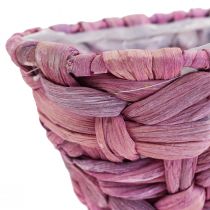 Product Plant basket seagrass basket water hyacinth cachepot oval 20.5cm 3pcs
