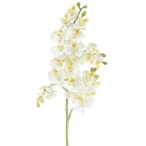 Phalaenopsis Artificial Orchids Artificial Flowers White 70cm