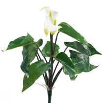 Product Calla Lily Kalla Artificial Flowers White Exotic Flowers 34cm