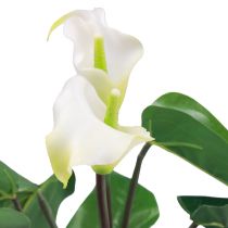 Product Calla Lily Kalla Artificial Flowers White Exotic Flowers 34cm