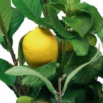 Product Decorative branches Mediterranean decorative lemons artificial 50cm