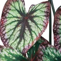 Product Begonia Artificial Plants Leaf Begonias Green Purple 62cm