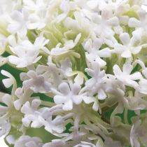 Product Artificial flower snowball plant Virburnum white Ø8cm 64cm