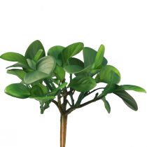 Product Artificial green plant succulent artificial green H14cm