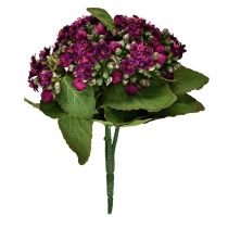 Product Flaming Käthchen Kalanchoe artificial purple 24cm