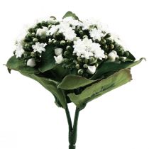 Product Artificial Kalanchoe Flaming Käthchen White 24cm