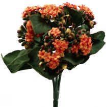 Product Flaming Käthchen Kalanchoe artificial orange 24cm