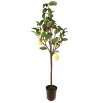 Product Artificial lemon tree in a pot yellow 90cm