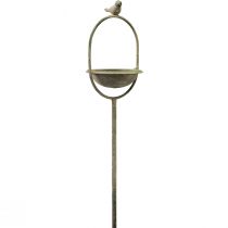 Product Decorative bird drinks green antique with skewer Ø11cm H55cm