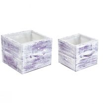 Product Plant drawer with handle purple white wood 12/15cm set of 2
