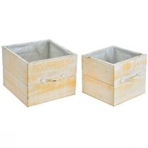Product Plant drawer with handle orange white wood 12/15cm set of 2