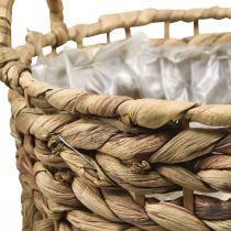 Product Plant basket seagrass basket water hyacinth Ø31/26cm set of 2