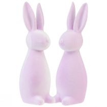 Product Decorative bunnies flocked Easter bunnies purple light 8×10×29cm 2pcs