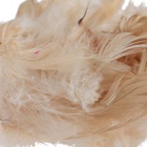 Product Decorative feathers small real bird feathers orange 5-10cm 10g