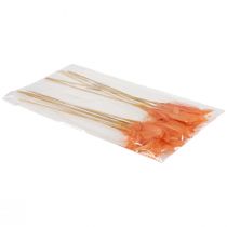 Product Decorative Feathers Orange Bird Feathers on Stick 36cm 12 Pcs