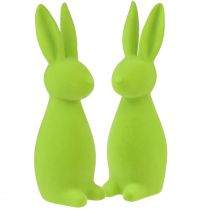 Product Flocked bunnies apple green – 2nd choice – Easter table decoration 8×10×29cm 2 pieces