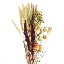 Product Bouquet of dried flowers straw flowers orange purple 55cm 70g