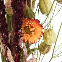 Product Bouquet of dried flowers straw flowers orange purple 55cm 70g