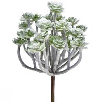 Product Stonecrop Artificial Succulents Artificial Plants 16cm 4 pcs