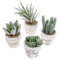 Artificial succulents in pot artificial plants green Ø4cm 12pcs