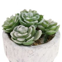 Artificial succulents in pot artificial plants green Ø4cm 12pcs