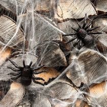 Product Spider, bat figures black 10cm, 14cm 3 pieces