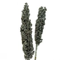 Product Dried flowers sorghum millet blue-green dried floristry 72cm 3 pcs