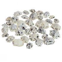 Shell Deco Shells White Black Small 1-2.5cm 250g