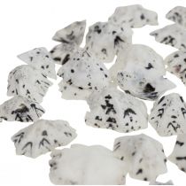Shell Deco Shells White Black Small 1-2.5cm 250g